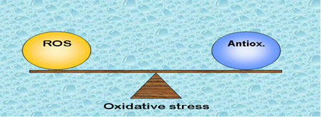 Oxidación y antioxidantes