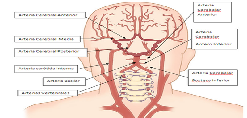 Lesiones vasculares